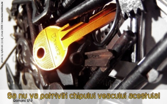 Chipul Veacului