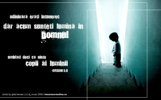 Efeseni 5-8