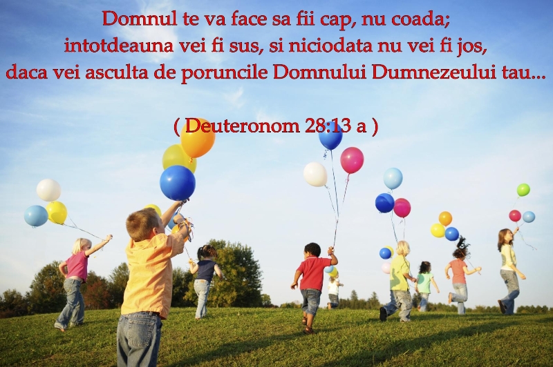 Deuteronom 28 v13a