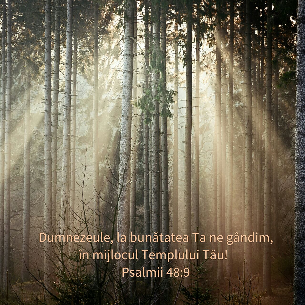 Psalmii 48:9