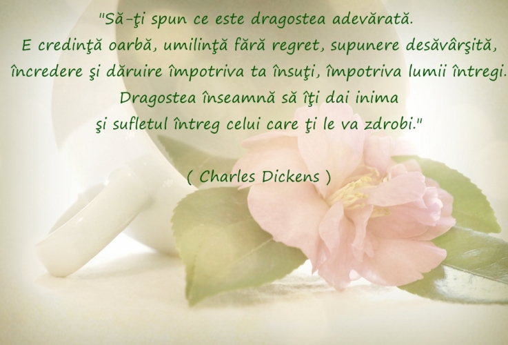 Dragoste adevarata - Charles Dickens