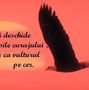 Aripile curajului