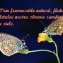 Fluturii sufletului