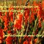 Traind in mijlocul florilor