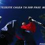 Netezeste calea