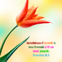 Proverbele 16 v3
