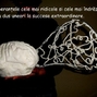 Succes