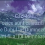 Calauzire