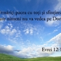 Evrei 12-14