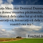 Ezechiel 33-11