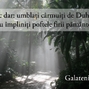 Galateni 5-16