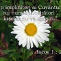 Iacov 1-22