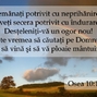 Osea 10-12