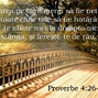 Proverbe 4-25,26