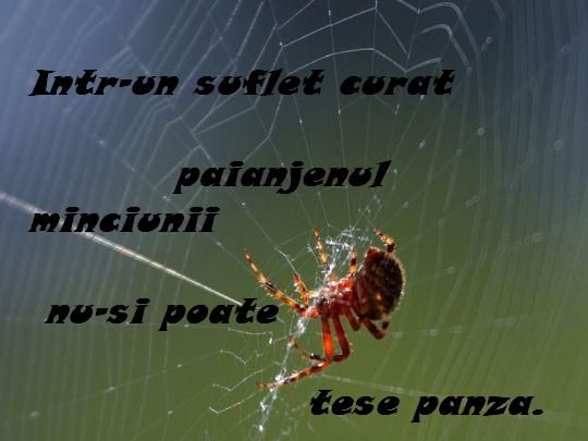 Un suflet curat