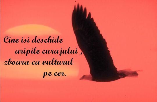 Aripile curajului