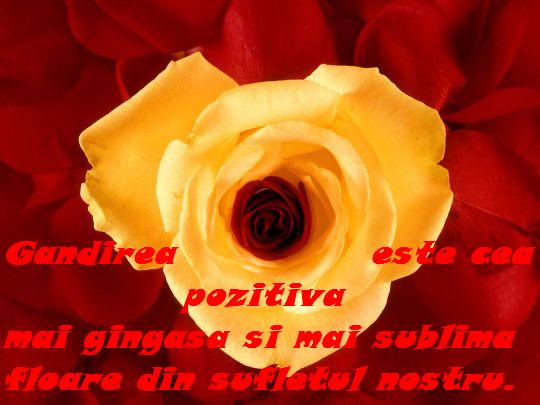 Gandirea pozitiva