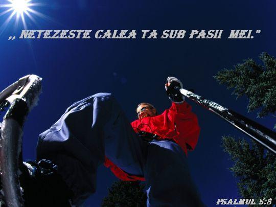 Netezeste calea