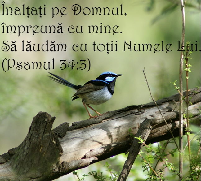 Psalmul 34 v3