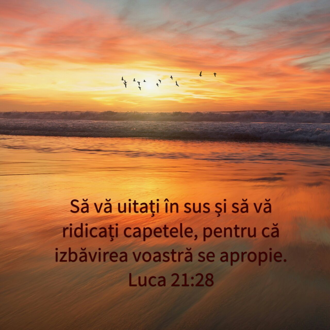 Luca 21:28
