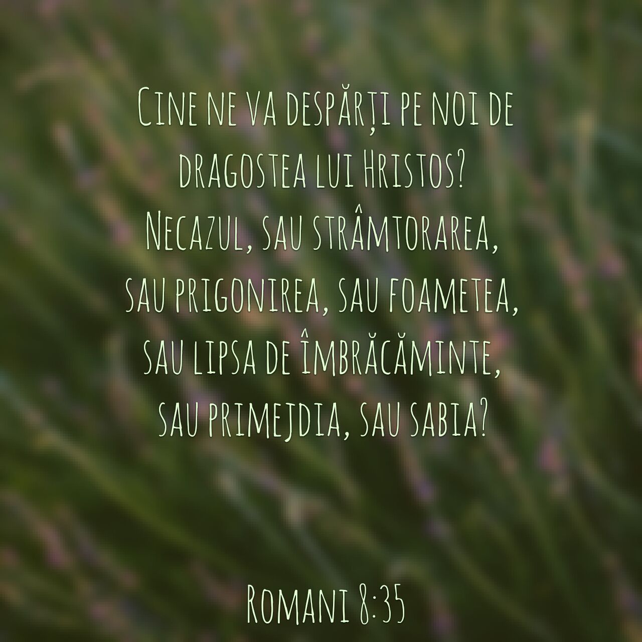 Romani 8:35