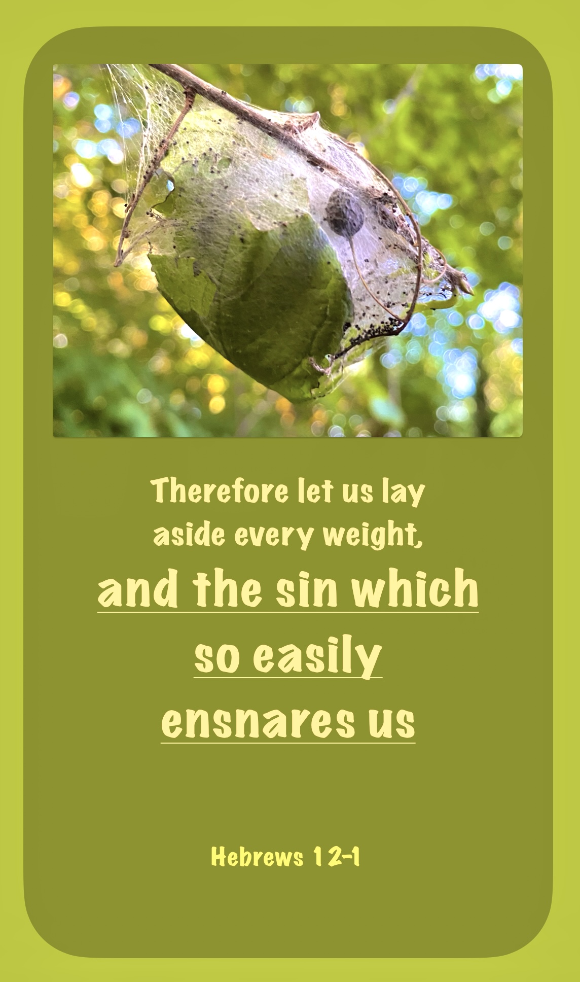 And the sin which so easily ensnare us