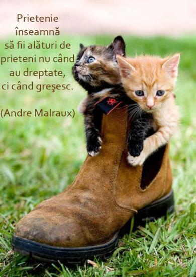 Prietenie ~ Andre Malraux