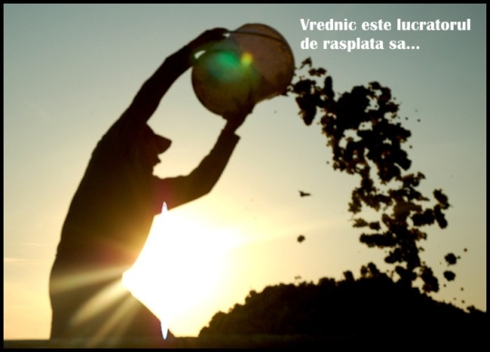 Vrednicie