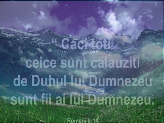 Calauzire