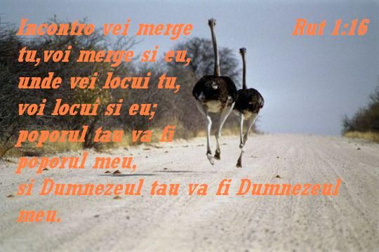 Voi fi cu tine