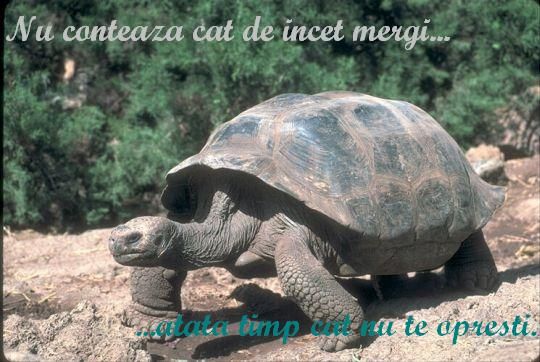 Nu te oprii !