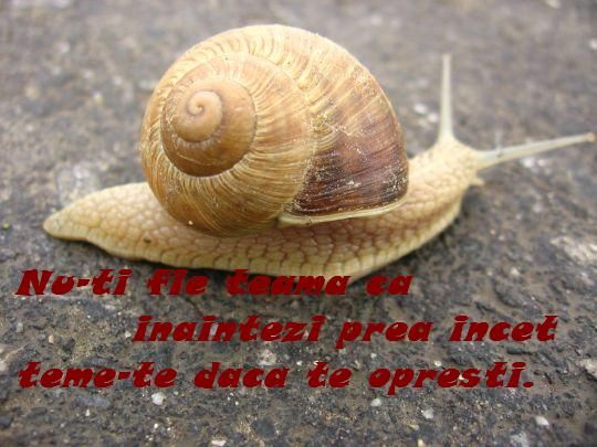 Inainteaza