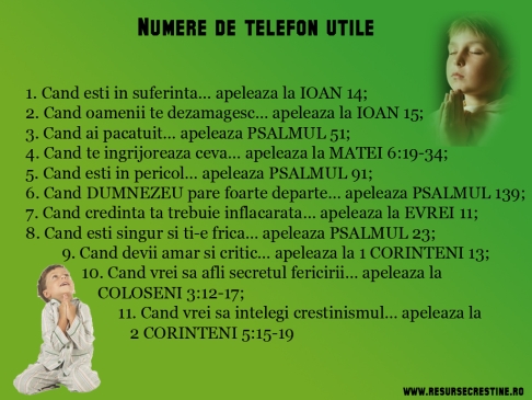 Numere de telefon utile