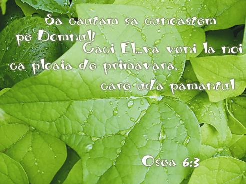 Osea 6:3