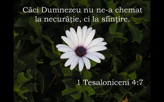1 Tesaloniceni 4-7
