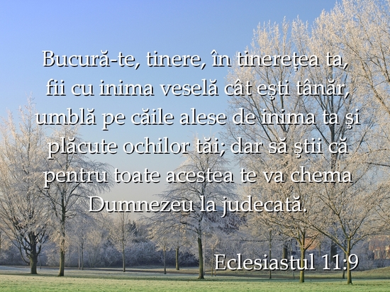 Eclesiastul 11-9