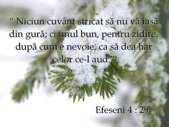 Efeseni 4-29