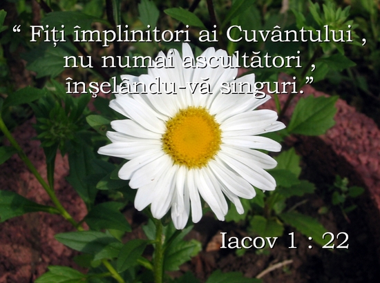 Iacov 1-22