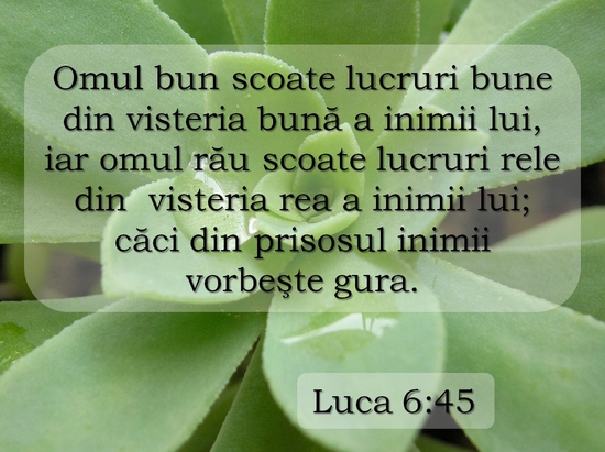 Luca 6-45