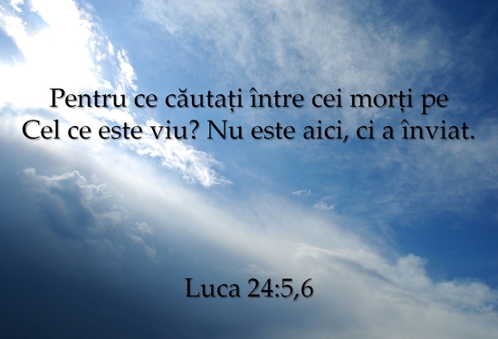 Luca 24-5,6