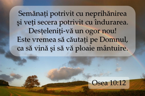 Osea 10-12