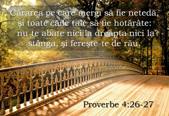 Proverbe 4-25,26