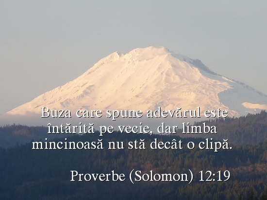 Proverbe 12-19