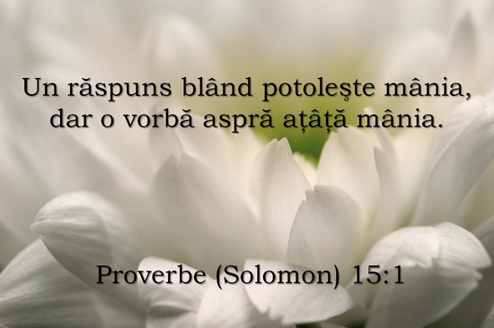 Proverbe 15-1