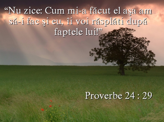 Proverbe 24-29
