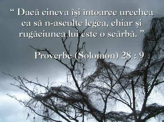 Proverbe 28-9