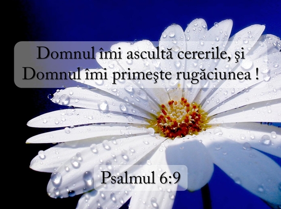 Psalmul 6-9