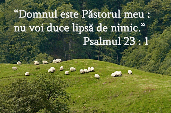 Psalmul 23-1