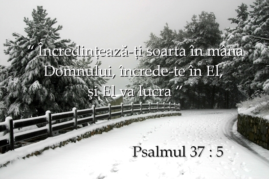 Psalmul 37-5