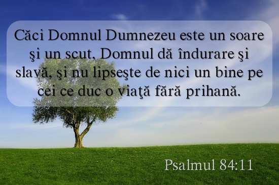Psalmul 84-11